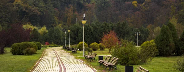 Schöne herbstliche Parkallee. mit gelben Blättern an den Bäumen — Stockfoto