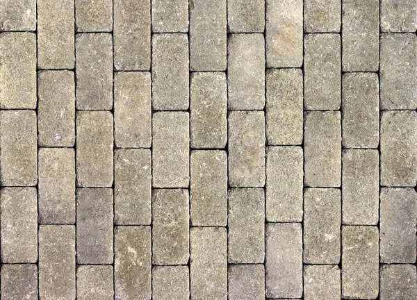 A sample of concrete paving slab for laying tracks — Stock Photo, Image
