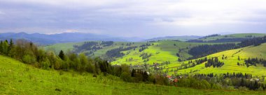 Dağ yeşil tepelerin ve bulutlu bir bulutlu eteklerinde çam ağaçları ile