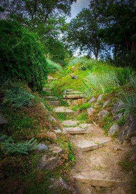 Güzel sonbahar park sokak. ağaçları ile sarı yapraklar