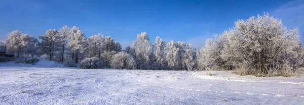 Зимний пейзаж с инеем деревьев. Польский сфотографирован в морозный день . — стоковое фото