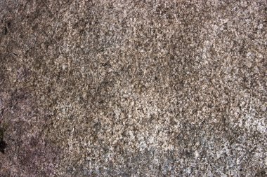 Gri granit dokulu ve blok artalanları