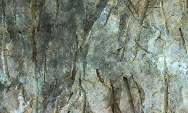 Gri granit dokulu ve blok artalanları