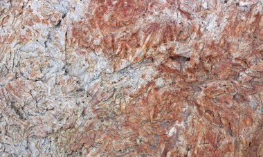 Gri granit dokulu ve blok artalanları