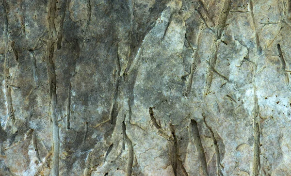 Gri granit dokulu ve blok artalanları