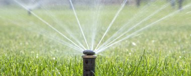 Otomatik fıskiye sistemi yeşil çimlerin arka planında çimleri suluyor
