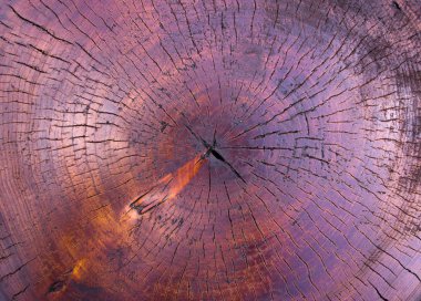 Dikey kavak dilim leke ve kahverengi Lake, ayrıntılı doku ile kaplı.