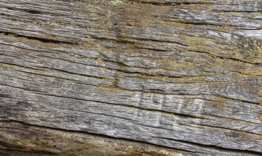 Kahverengi ahşap duvar dokusu arkaplanı