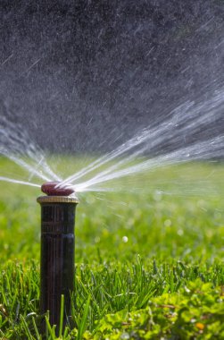 Otomatik fıskiye sistemi yeşil çimlerin arka planında çimleri suluyor