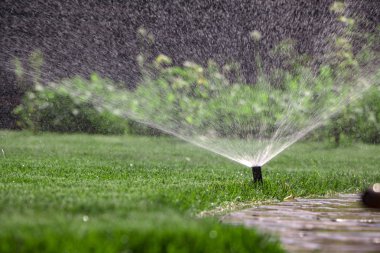 Otomatik fıskiye sistemi yeşil çimlerin arka planında çimleri suluyor