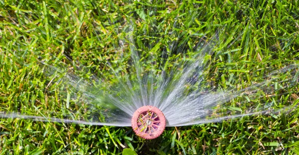 Otomatik fıskiye sistemi yeşil çimlerin arka planında çimleri suluyor