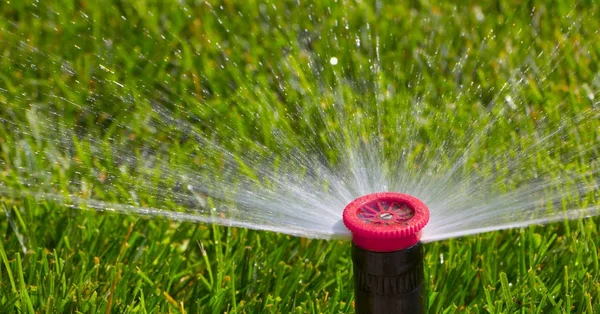 Automatische sprinkler systeem besproeiing van het gazon op een achtergrond van groen gras — Stockfoto