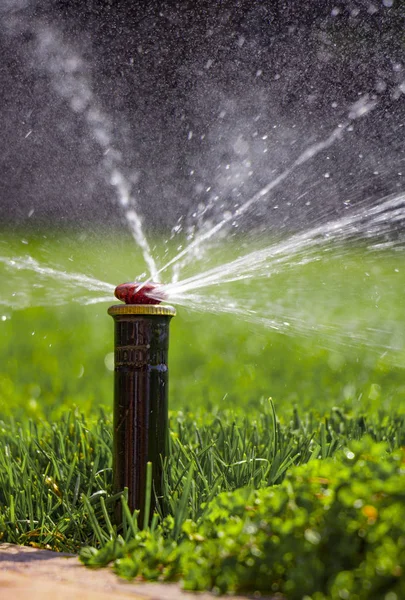 Otomatik fıskiye sistemi yeşil çimlerin arka planında çimleri suluyor