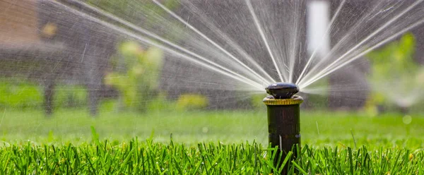 automatic sprinkler system watering the lawn on a background of green grass