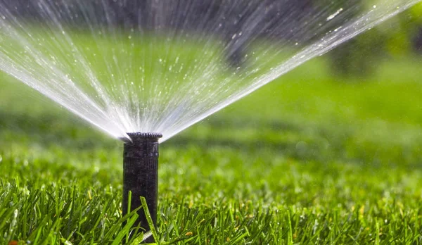 緑の草を背景に芝生に散水する自動散水システム — ストック写真