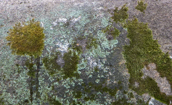 Textura gri granit cu blocuri din spate — Fotografie, imagine de stoc
