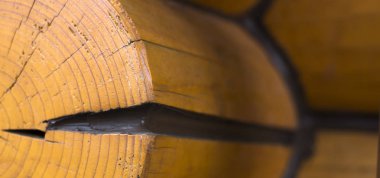 kesilmiş ağaç, evin açısını günlük doku