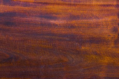 Doku eski ağaç, kavak, yakın çekim. eski moda