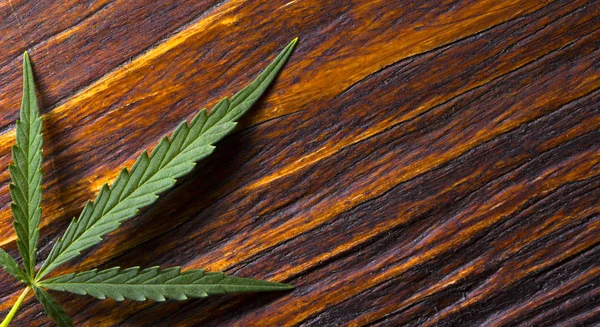 Foglie di cannabis su vecchio sfondo di legno — Foto Stock