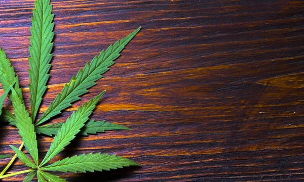 Cannabis levelek a régi, fából készült háttér — Stock Fotó