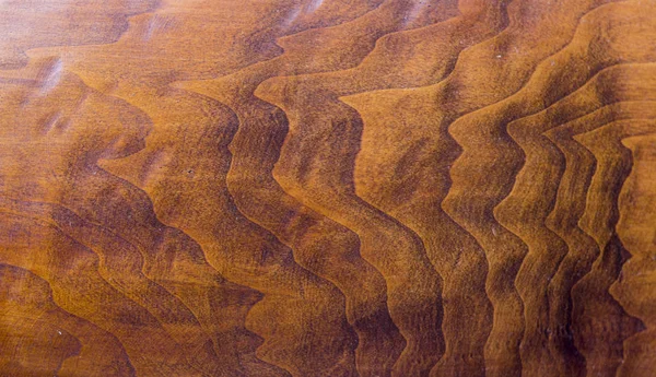 Textura starý strom, topol, detail. staromódní — Stock fotografie