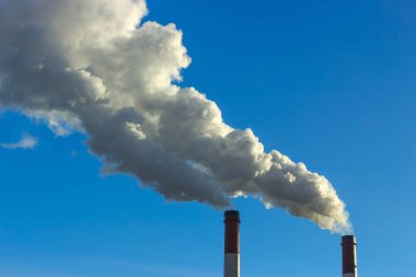 Bitki boru atmosfere zararlı maddeler yayar. Bir gökyüzü arka plan yakın çekim