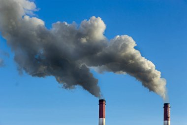 Bitki boru atmosfere zararlı maddeler yayar. Bir gökyüzü arka plan yakın çekim