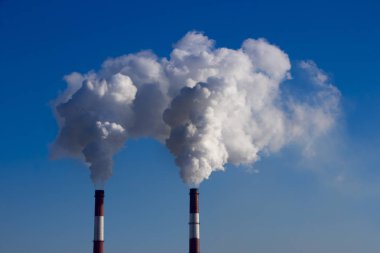 Bitki boru atmosfere zararlı maddeler yayar. Bir gökyüzü arka plan yakın çekim