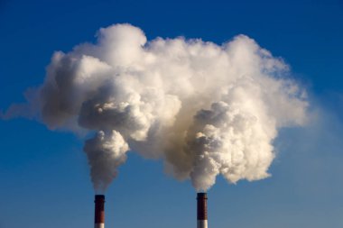 Bitki boru atmosfere zararlı maddeler yayar. Bir gökyüzü arka plan yakın çekim