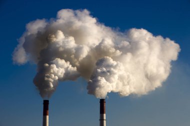 Bitki boru atmosfere zararlı maddeler yayar. Bir gökyüzü arka plan yakın çekim