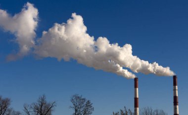 Bitki boru atmosfere zararlı maddeler yayar. Bir gökyüzü arka plan yakın çekim