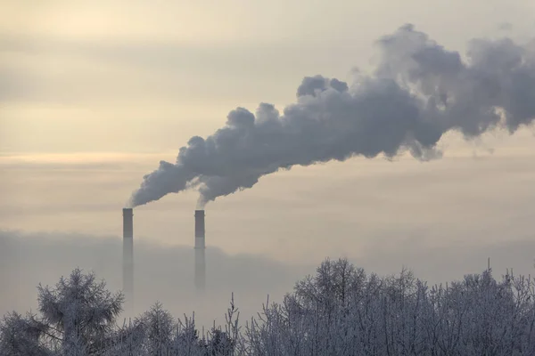 Röret av växten avger skadliga ämnen i atmosfären. Närbild på en himmel bakgrund — Stockfoto