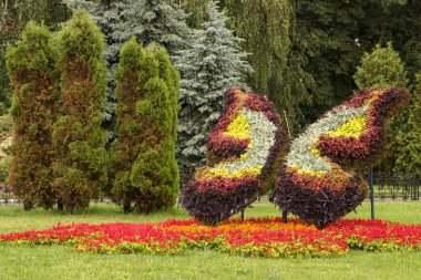 Şehir Parkı büyük çiçek çiçek şekilli yatakta