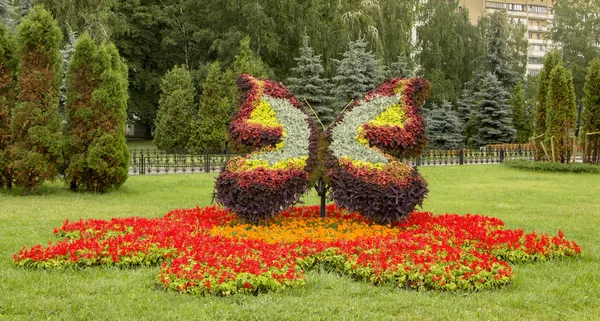 Grote bloem-vormige bloem bed in het stadspark — Stockfoto