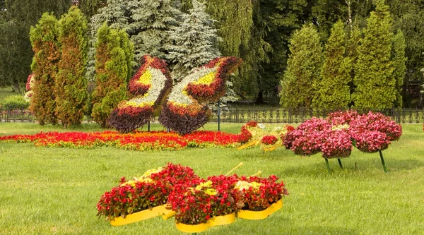 Grande canteiro de flores em forma de flor no parque da cidade — Fotografia de Stock