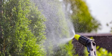 Bahçıvan genç Erik ağacından zararlıları ve hastalıkları şişe püskürtücü ile sprinkles. Püskürtücü elinde tutuyor.