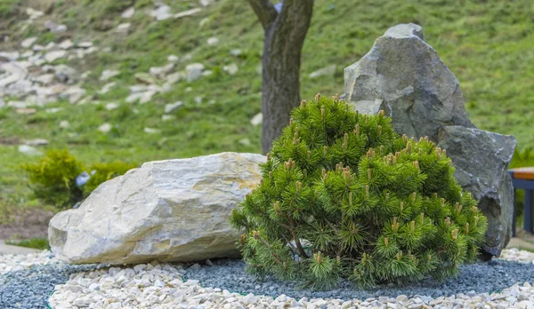 El uso de chips de mármol y rocas en la creación del jardín japonés de piedras — Foto de Stock