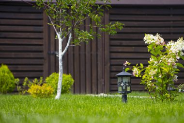 Ortaçağ ın bahçesinde bir sulu yeşil çim ile yapılan Bahçe lambası