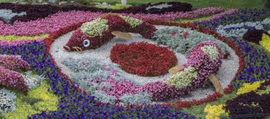 Japon tarzı temiz, bakımlı bir bahçede