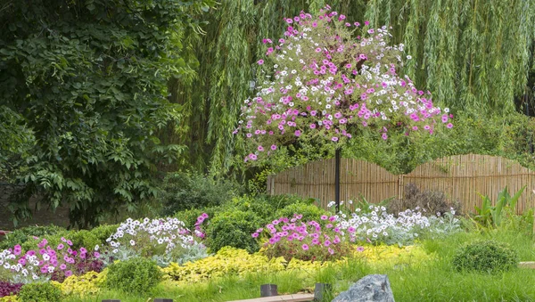 A neat, well-kept garden in Japanese style