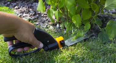 Parlak yeşil çim karşı bir çim kesme Makası