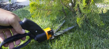 Parlak yeşil çim karşı bir çim kesme Makası