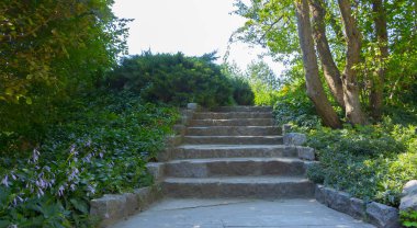 Doğruca gür önde gelen lastik ile kırsal toprak yol izler