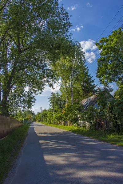 Rural dirt road with tire tracks leading straight through lush — Stock Photo, Image