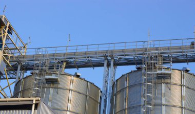 Bitki işleme, kurutma ve depolama tahıl ve tarım bitkileri tohumları