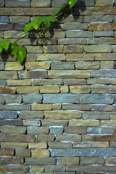Moderne Multi kleur Stone, slate travertijn zandsteen muur gebruikt voor achtergrond — Stockfoto
