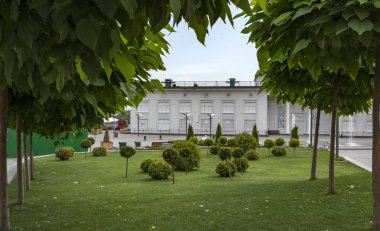 güzel bir çim yeşil çim. Ve süs bitkileri