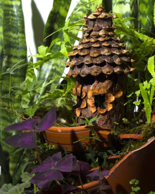 florarium İskandinav tarzı, yakın çekim