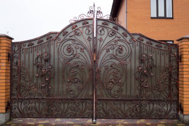 Forged gates for cars in the courtyard of a private house with a decorative scorpion element