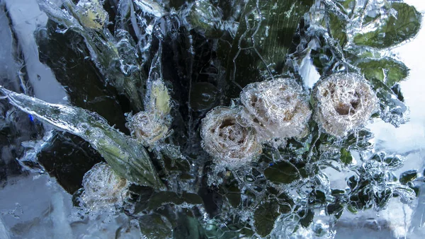 Sculpture sur glace de fleurs dans un bloc de glace gelé — Photo